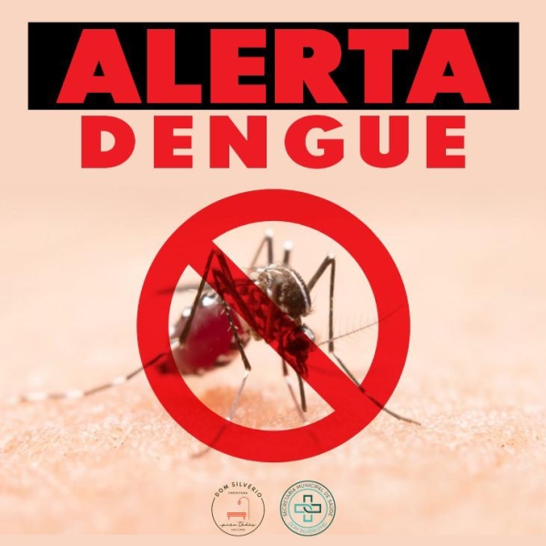 ALERTA DENGUE
