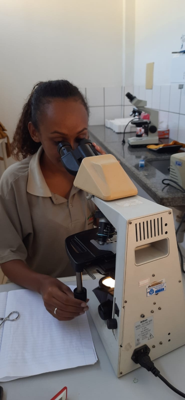 PREFEITURA REFORÇA AÇÕES DE COMBATE À DENGUE