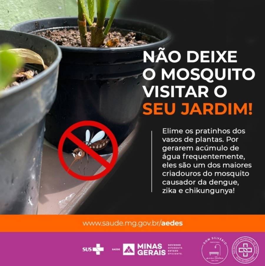 Combate à Dengue, Zika e Chikungunya