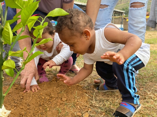 DIA DA &Aacute;RVORE: CEILAC REALIZA PLANTIO DE MUDAS FRUT&Iacute;FERAS