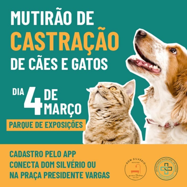 NESTE SÁBADO (04/03) TEM MUTIRÃO DE CASTRAÇÃO