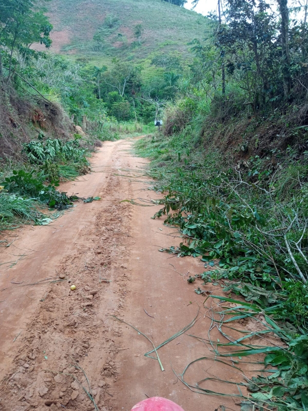 PREFEITURA ATUA NA LIMPEZA DA ESTRADA DO QUINTÃO