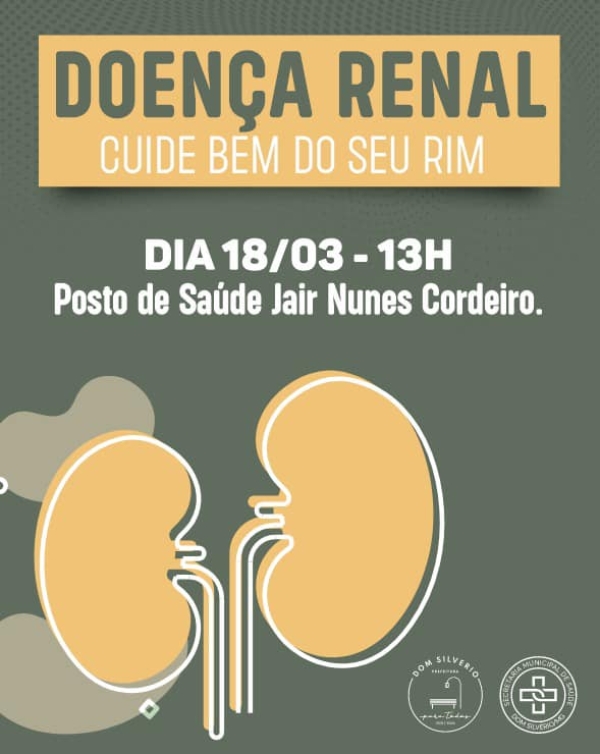 BATE-PAPO SOBRE SAÚDE RENAL: PREVENÇÃO E CONSCIENTIZAÇÃO SOBRE DOENÇAS RENAIS CRÔNICAS EM DOM SILVÉRIO
