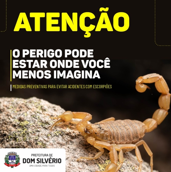 ESCORPIÕES: VEJA COMO SE PREVENIR E AGIR EM CASO DE PICADAS