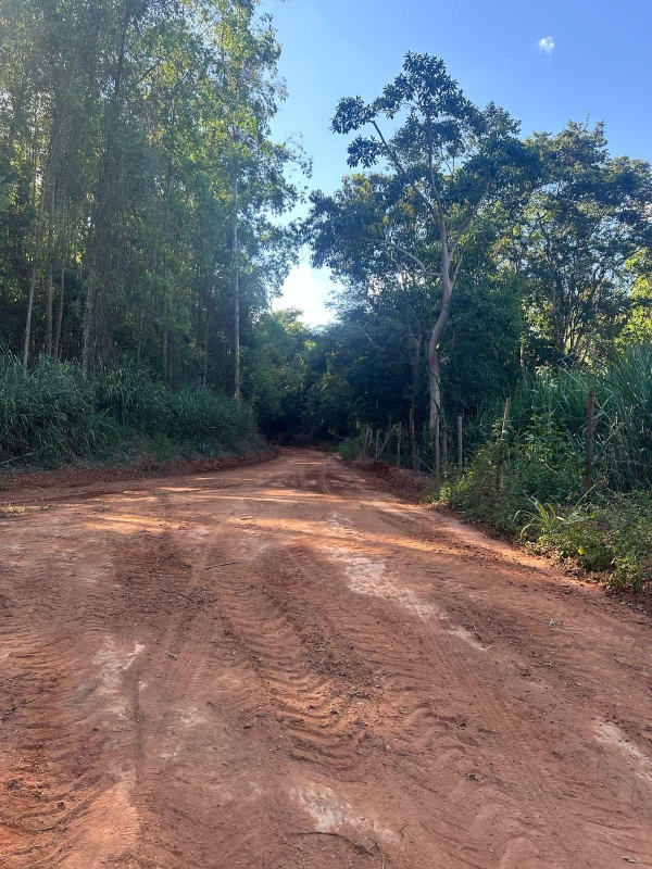 INÍCIO DOS SERVIÇOS DE MELHORIA DAS ESTRADAS RURAIS EM SESMARIA: COMPROMISSO COM O DESENVOLVIMENTO SUSTENTÁVEL